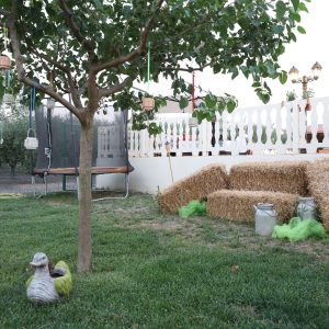 Tenuta Madre Terra - Esterni 3