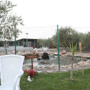 Tenuta Madre Terra - Esterni 6