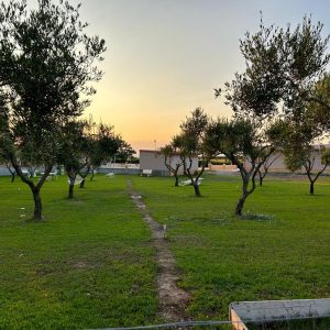 Tenuta Madre Terra -esterno 4